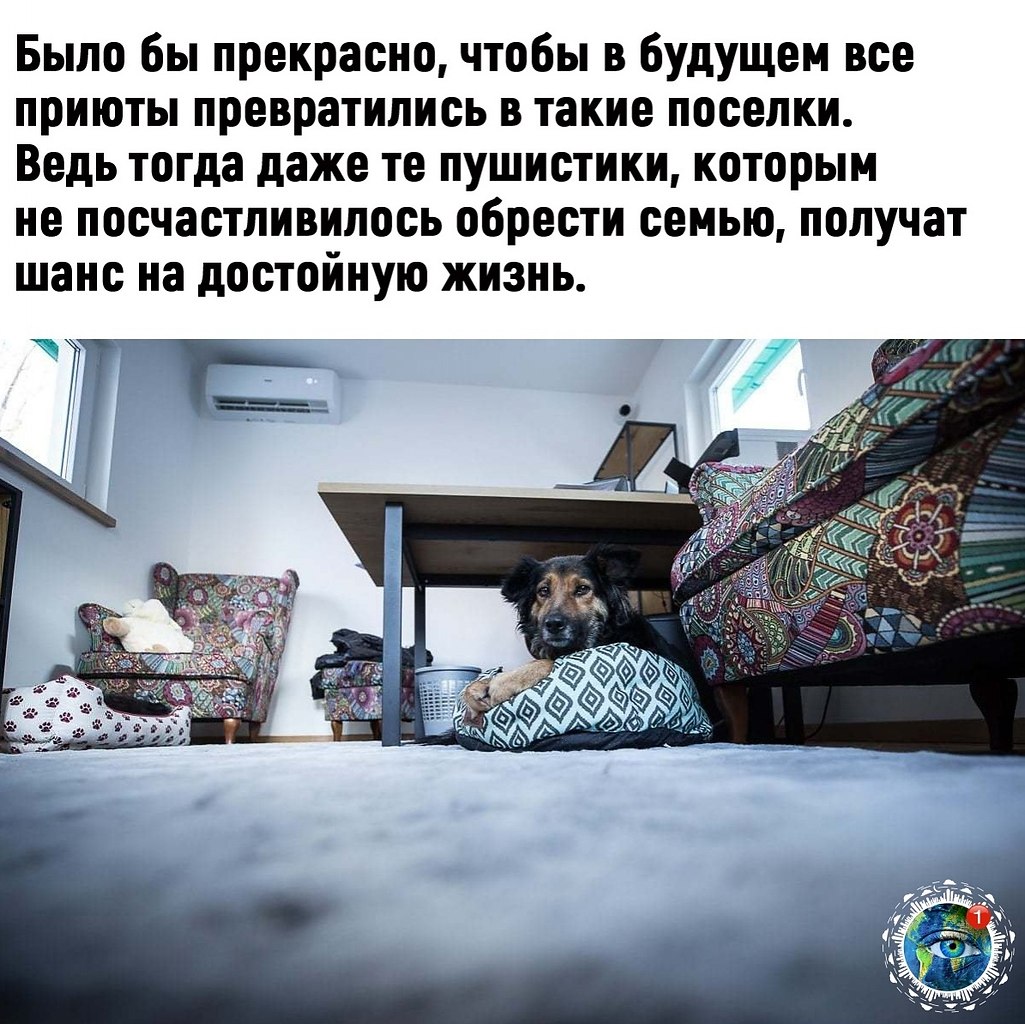 e  ce e ae ec...  - 3