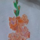 ���� �������, ������ - ��������� 26 �������� 2020 � ������ ���� ����������