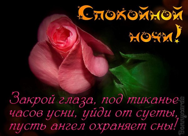   ,    . - 22  2021  21:25 - 4