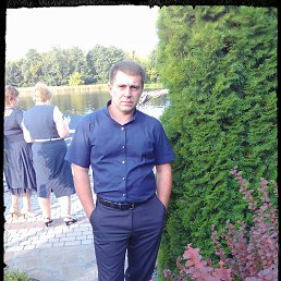 ����, ������, 38 ���