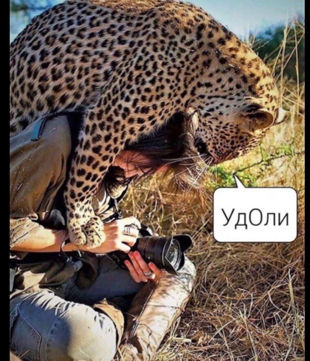   - 11  2021  00:57
