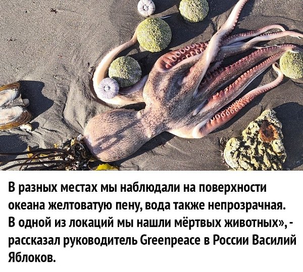  ! - 30  2020  18:36 - 3