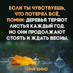   ,   : ,   -  . ,  ,   ,  ...
