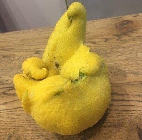   - - 3