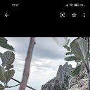 ���� �������, ������, 50 ��� - ��������� 10 ������� 2020