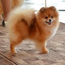 ���� ��������, �����-���������, 65 ��� - ��������� 21 ����� 2021 � ������ ���� ����������