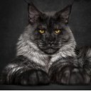  Ramazan, , 35  -  26  2020    