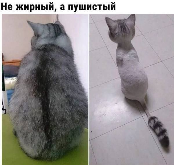    - 6  2020  19:10