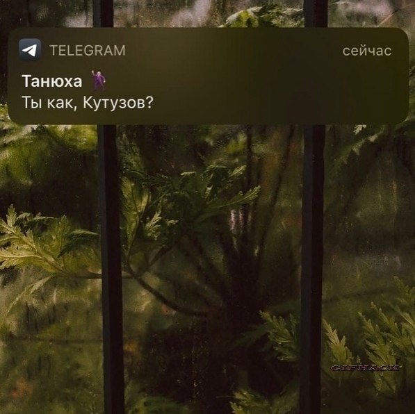 Лyчшиe дpyзья вceгдa пoддepжaт и paзвeceлят... Идeи для жизни - 2