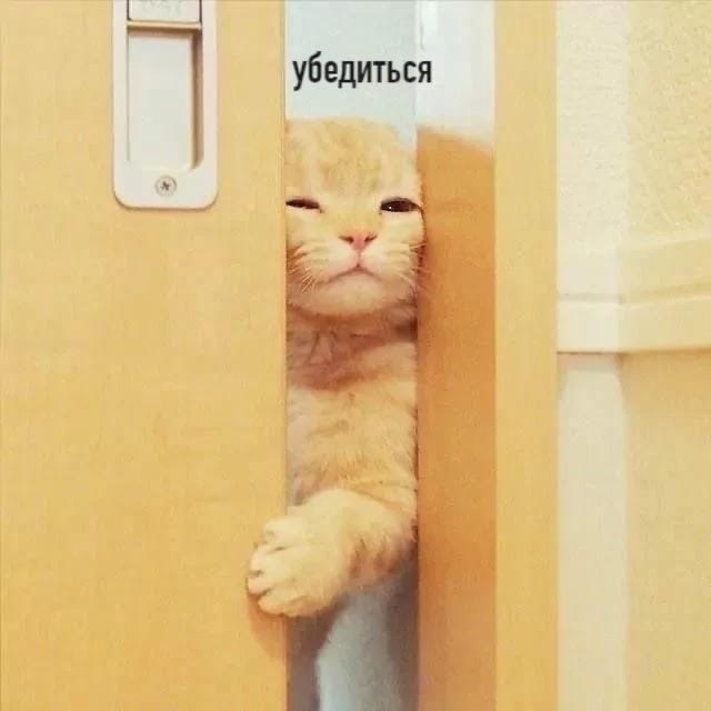   - 2