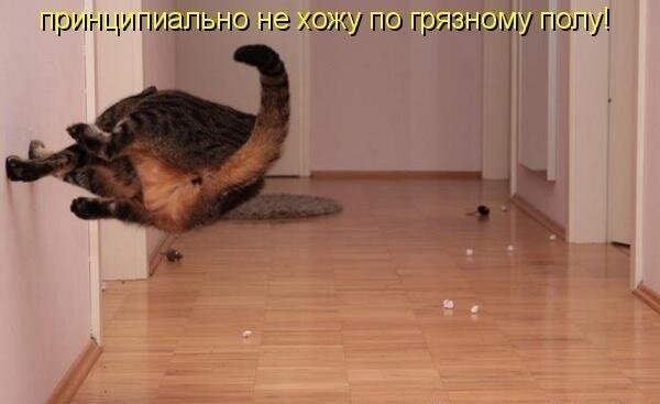    - 28  2020  19:09