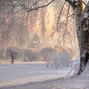 ���� ����, ������ - ��������� 9 ������ 2021 � ������ ���� ����������