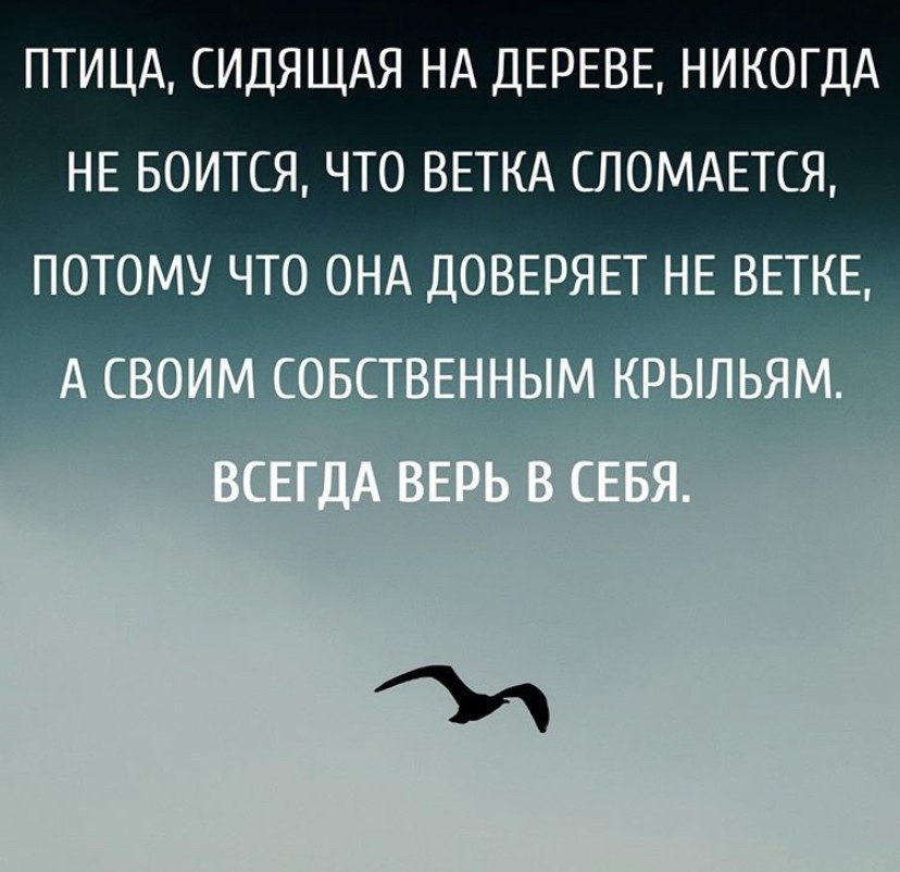 Я живу без тебя, как умею.