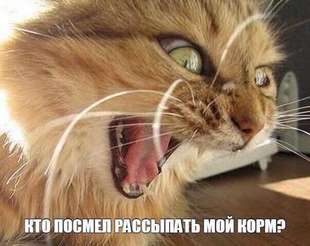    - 12  2021  12:21