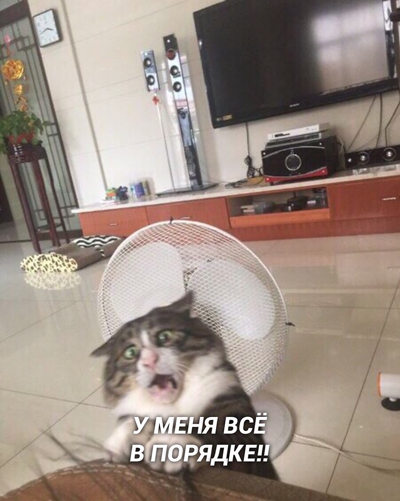   ! - 3