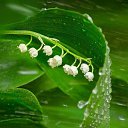 ���� ������, ������������ - ��������� 24 �������� 2020 � ������ ��������