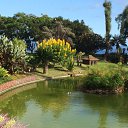 �.������� �� ������� ���� ����������