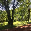 ���� ����, ������ - ��������� 4 �������� 2020 � ������ ���������