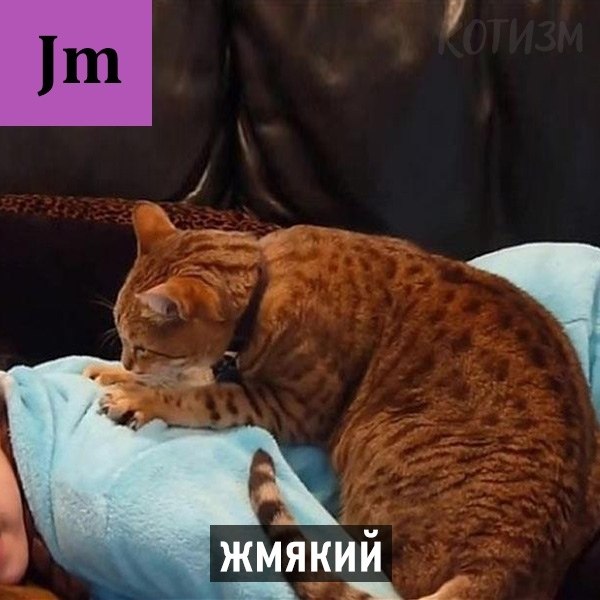   - - 4