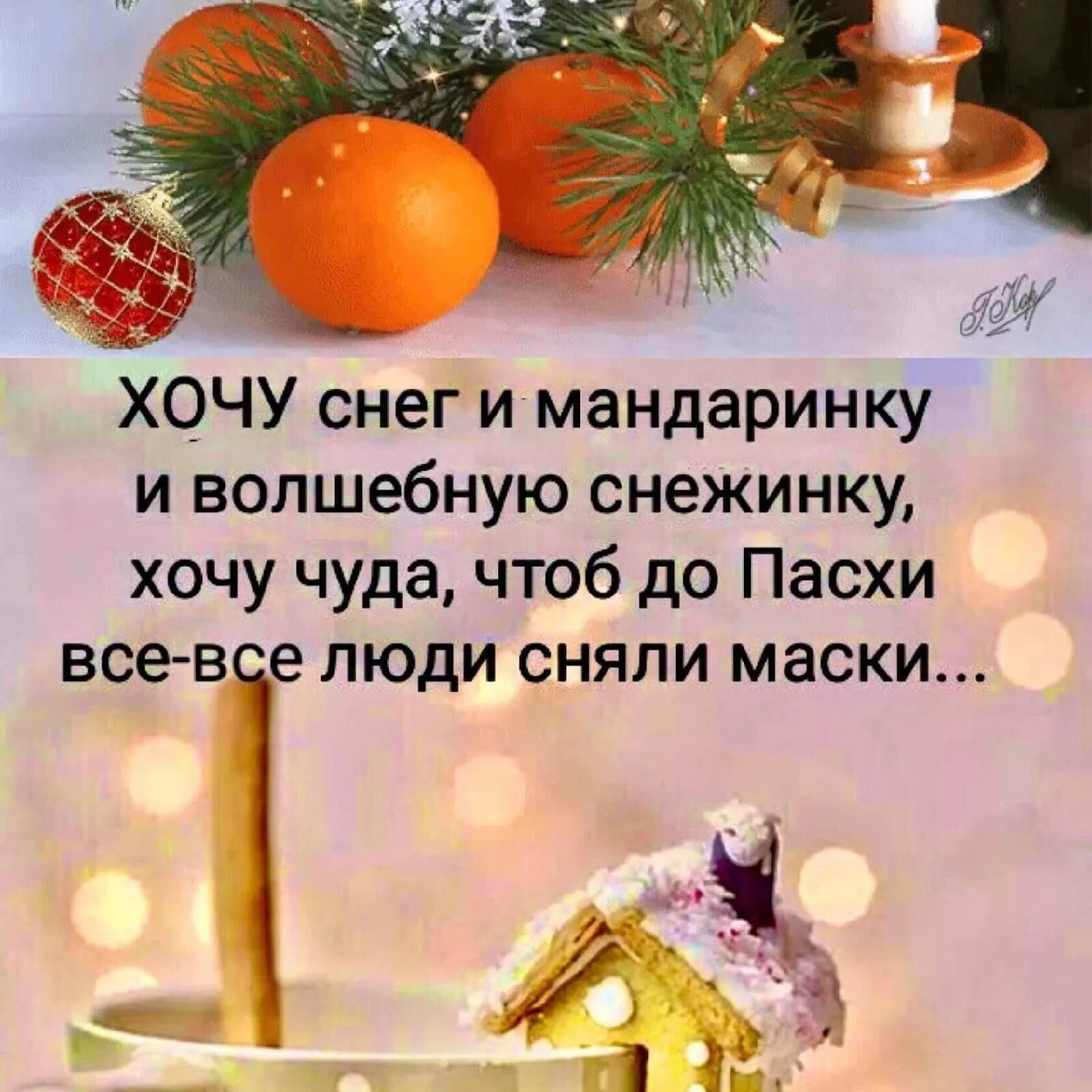 Zemlyanika - 22  2020  22:05 - 6
