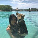  ., -, 54  -  13  2020