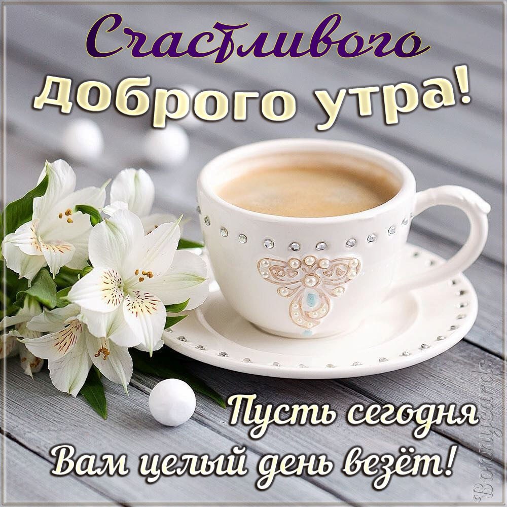   ,    . - 22  2021  00:08 - 9