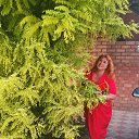 ���� �����, ��������, 55 ��� - ��������� 20 ������� 2020 � ������ ���� ����������