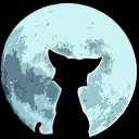 ���� Dilemma Fixer, �����-��������� - ��������� 16 ������� 2021 � ������ ���� ����������