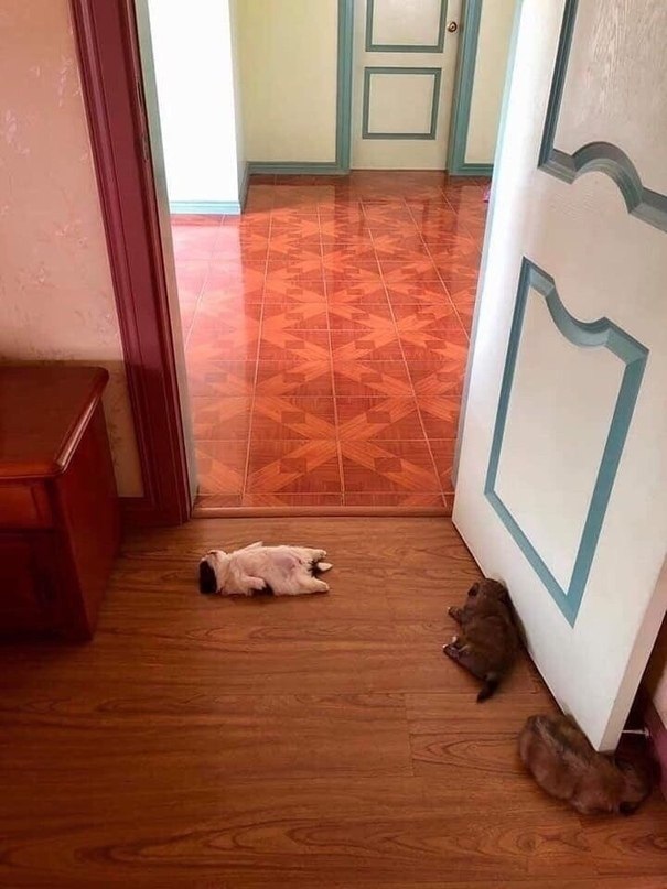          .    ,    