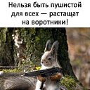 ���� �������, �������, 51 ��� - ��������� 9 ������� 2020