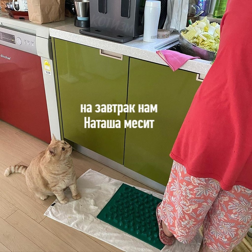 ,    , 