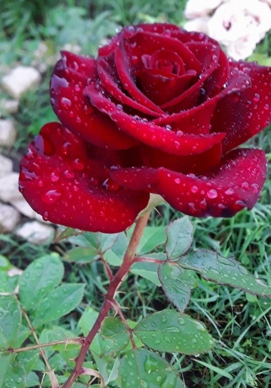   - 19  2020  22:24 - 2