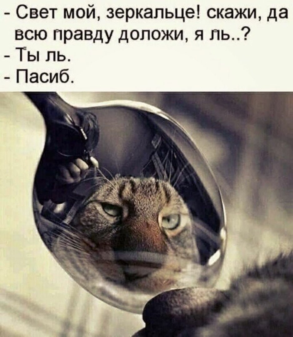   - 18  2020  19:02