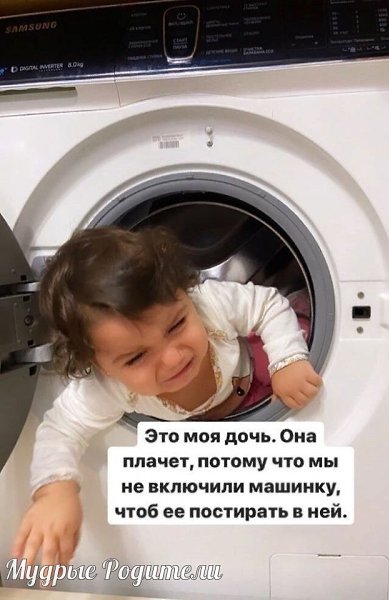 В один прекрасный день мои соседи вызовут соцслужбу на меня. Но я тут не при чем...