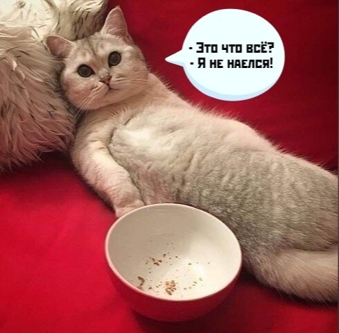    !