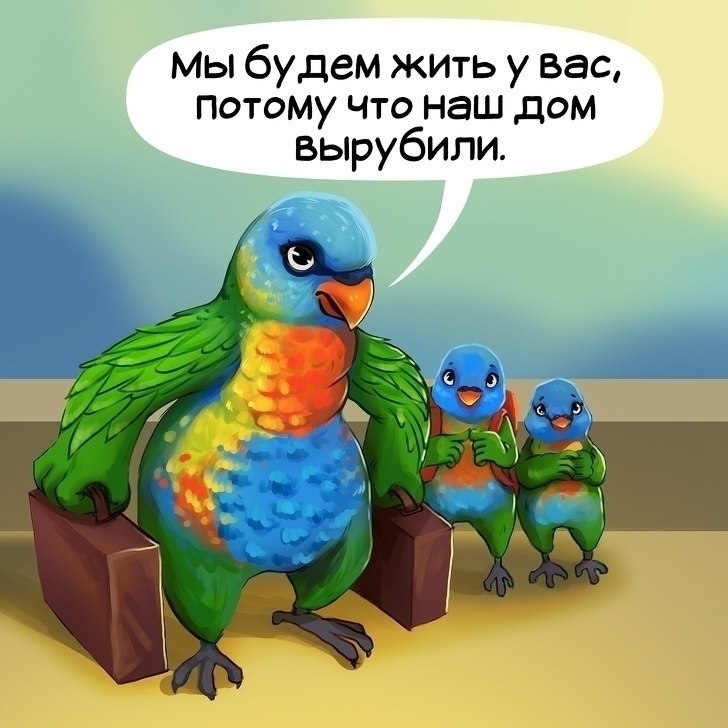 ���� �� ���� ��������..� - 6