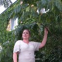 ���� �����, �������, 50 ��� - ��������� 9 �������� 2020 � ������ ���� ����������