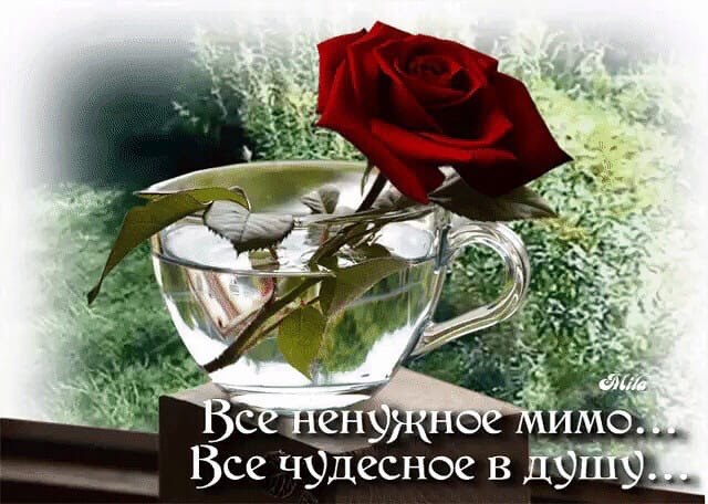  !       ,  ,     . ...