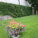 ���� �����, ������������ - ��������� 20 ����� 2021 � ������ ���� ����������