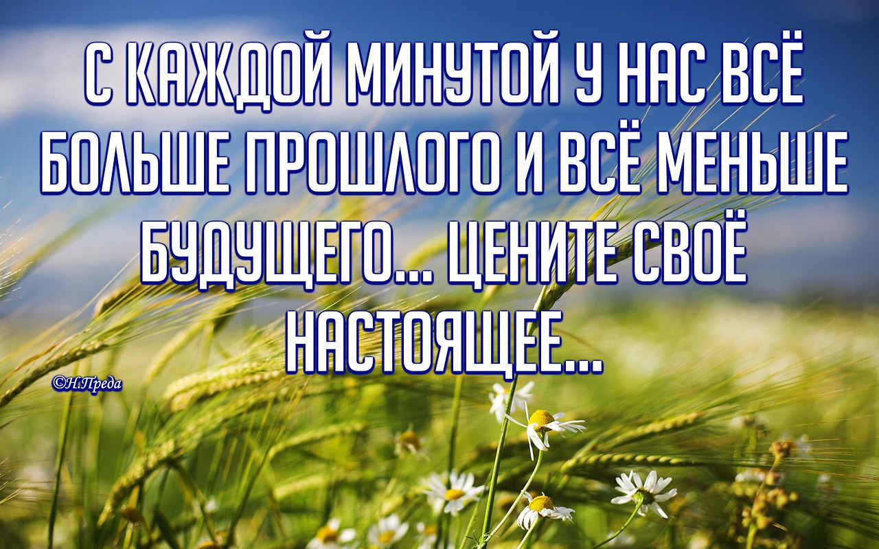   ,    . - 19  2020  23:52 - 6