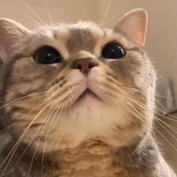 - ... .. !  !     !!!
