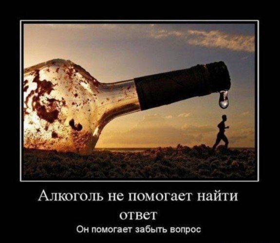     .      -         ...