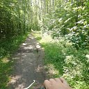  Ҹ, , 44  -  30  2020