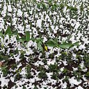 ���� �������, �����������, 61 ��� - ��������� 21 ������� 2021 � ������ ���� ����������