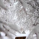 ���� �����, ����, 49 ��� - ��������� 17 ������ 2021 � ������ ���� ����������