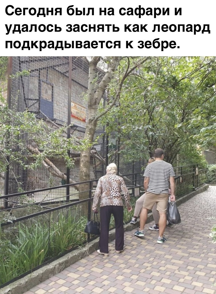     !)