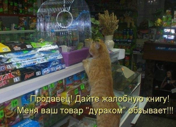    - 20  2021  07:56