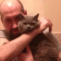 ����, �����-���������, 45 ���