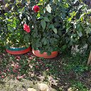 ���� �������, ����, 48 ��� - ��������� 28 ������� 2020 � ������ ���� ����������