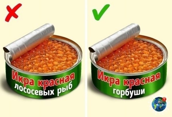 o o o, opa ac oa aece p.  - 5